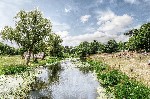Riverscene